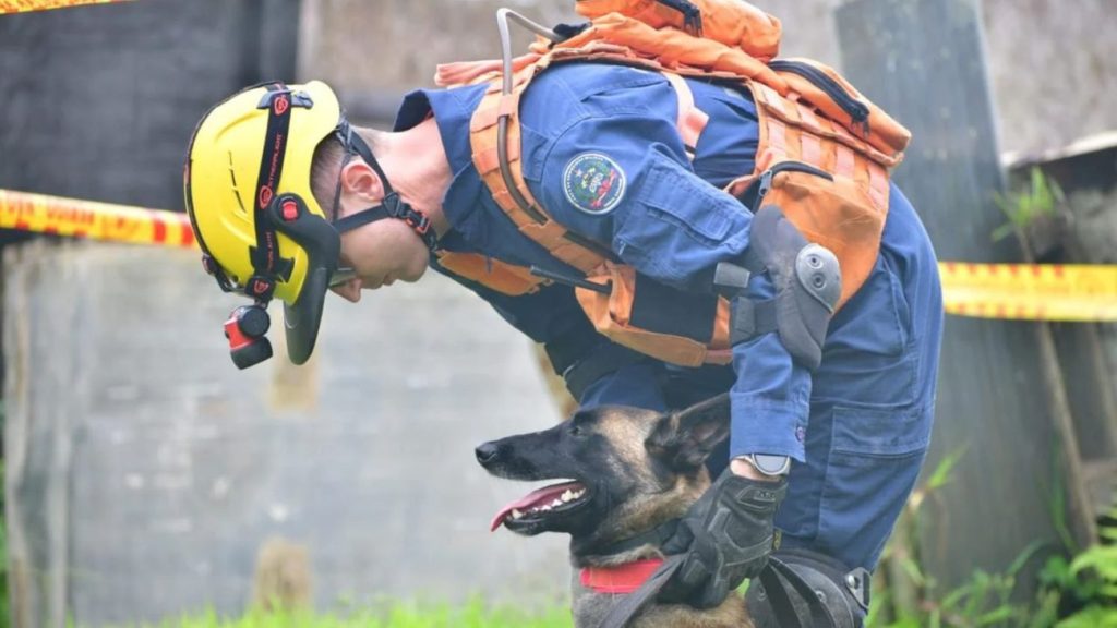 Homem de 51 anos desaparecido é encontrado morto em área de mata em Florianópolis bombeiros